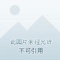 创世纪 剧情介绍 电视猫
