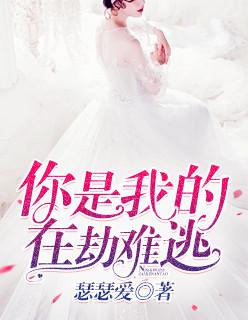 你是我的在劫难逃什么意思