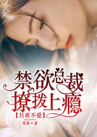 只爱不婚禁欲总裁宠上瘾