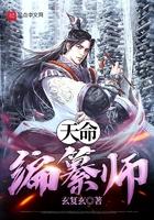 天命编纂师起点